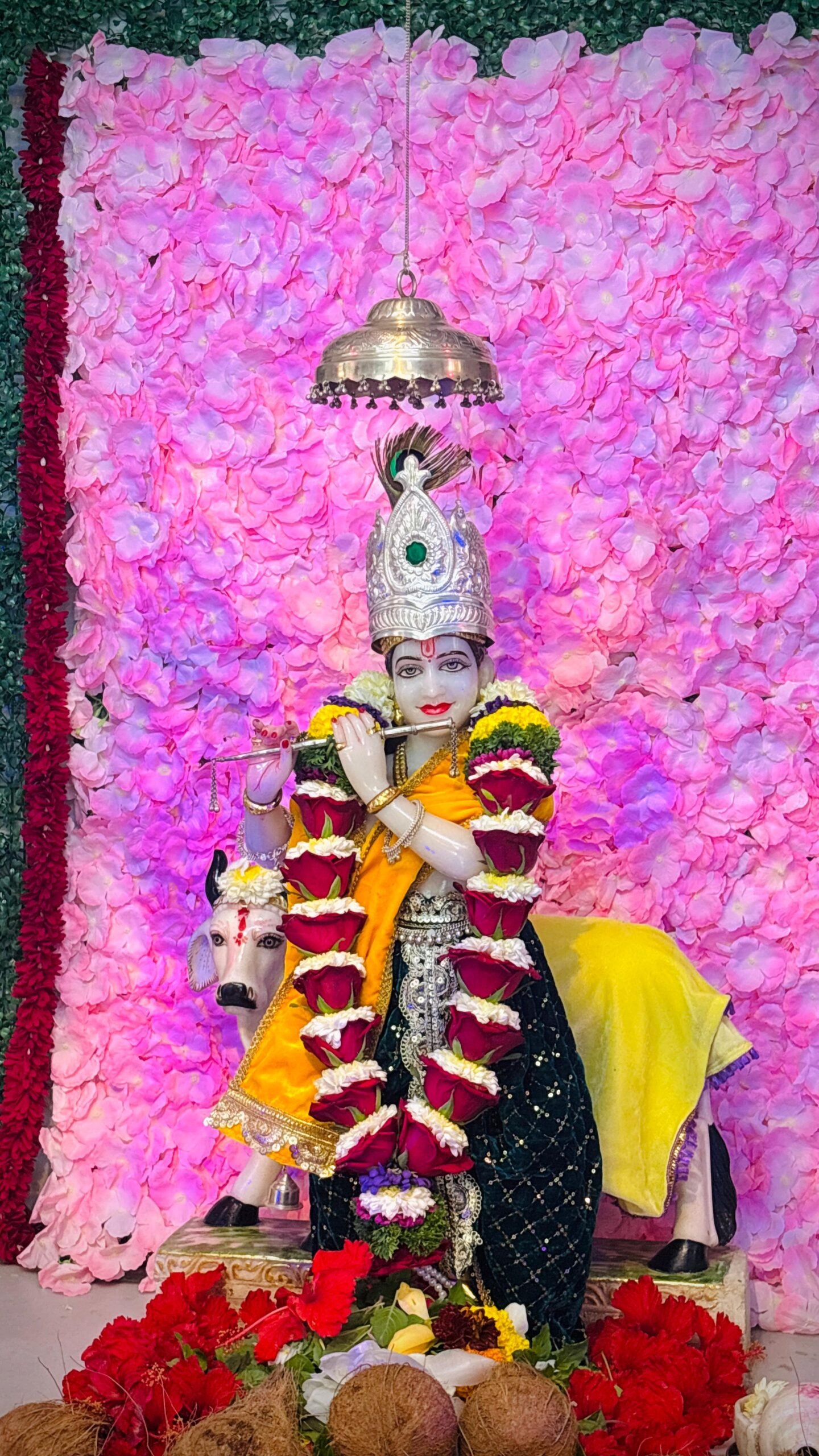 गोरेगावातील श्रीकृष्ण जन्माष्टमी व गोपाळकाला उत्साहात